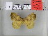  (Apha isaevi - EUPT-11-035)  @12 [ ] Unspecified (default): All Rights Reserved  Unspecified Unspecified