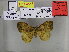  ( - EUPT-11-036)  @12 [ ] Unspecified (default): All Rights Reserved  Unspecified Unspecified