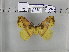 ( - EUPT-11-042)  @12 [ ] Unspecified (default): All Rights Reserved  Unspecified Unspecified