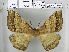  ( - EUPT-11-050)  @13 [ ] Unspecified (default): All Rights Reserved  Unspecified Unspecified