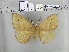  ( - EUPT-11-051)  @12 [ ] Unspecified (default): All Rights Reserved  Unspecified Unspecified
