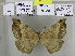  ( - EUPT-11-053)  @12 [ ] Unspecified (default): All Rights Reserved  Unspecified Unspecified
