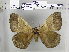  ( - EUPT-11-064)  @13 [ ] Unspecified (default): All Rights Reserved  Unspecified Unspecified