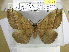  (Apona - EUPT-11-066)  @14 [ ] Unspecified (default): All Rights Reserved  Unspecified Unspecified