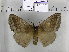  ( - EUPT-11-079)  @13 [ ] Unspecified (default): All Rights Reserved  Unspecified Unspecified