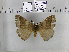  ( - EUPT-11-084)  @12 [ ] Unspecified (default): All Rights Reserved  Unspecified Unspecified