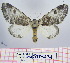  ( - Str-274)  @14 [ ] Unspecified (default): All Rights Reserved  Unspecified Unspecified