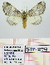  ( - Str-279)  @11 [ ] Unspecified (default): All Rights Reserved  Unspecified Unspecified