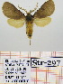  ( - Str-297)  @13 [ ] Unspecified (default): All Rights Reserved  Unspecified Unspecified