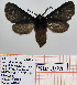  ( - Str-305)  @12 [ ] Unspecified (default): All Rights Reserved  Unspecified Unspecified