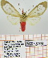  ( - Str-329)  @14 [ ] Unspecified (default): All Rights Reserved  Unspecified Unspecified