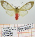  ( - Str-330)  @14 [ ] Unspecified (default): All Rights Reserved  Unspecified Unspecified
