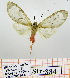  ( - Str-334)  @12 [ ] Unspecified (default): All Rights Reserved  Unspecified Unspecified