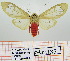  ( - Str-335)  @14 [ ] Unspecified (default): All Rights Reserved  Unspecified Unspecified