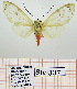  ( - Str-337)  @11 [ ] Unspecified (default): All Rights Reserved  Unspecified Unspecified
