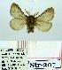  ( - Str-207)  @12 [ ] Unspecified (default): All Rights Reserved  Str-207 Unspecified