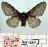  ( - Str-218)  @11 [ ] Unspecified (default): All Rights Reserved  Str-218 Unspecified