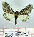  ( - Str-267)  @13 [ ] Unspecified (default): All Rights Reserved  Str-267 Unspecified
