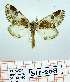  ( - Str-268)  @14 [ ] Unspecified (default): All Rights Reserved  Str-268 Unspecified