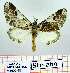  ( - Str-269)  @14 [ ] Unspecified (default): All Rights Reserved  Str-269 Unspecified