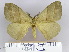  (Palirisa - 2011.109)  @15 [ ] Unspecified (default): All Rights Reserved  Unspecified Unspecified