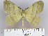  (Palirisa - 2011.114)  @15 [ ] Unspecified (default): All Rights Reserved  Unspecified Unspecified