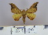  ( - 2011.129)  @13 [ ] Unspecified (default): All Rights Reserved  Unspecified Unspecified