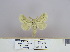  (Beralade fumosa - 2011.167)  @13 [ ] Unspecified (default): All Rights Reserved  Unspecified Unspecified