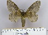  ( - 2011.176)  @13 [ ] Unspecified (default): All Rights Reserved  Unspecified Unspecified