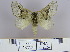  ( - 2011.229)  @13 [ ] Unspecified (default): All Rights Reserved  Unspecified Unspecified