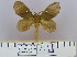  ( - 2011.380)  @14 [ ] Unspecified (default): All Rights Reserved  Unspecified Unspecified