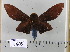  ( - 2011-589)  @13 [ ] Unspecified (default): All Rights Reserved  Unspecified Unspecified