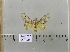  ( - 2011-611)  @13 [ ] Unspecified (default): All Rights Reserved  Unspecified Unspecified