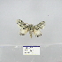  ( - 2011.775)  @12 [ ] Unspecified (default): All Rights Reserved  Unspecified Unspecified