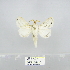  ( - 2011.810)  @14 [ ] Unspecified (default): All Rights Reserved  Unspecified Unspecified