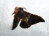  (Apha subdives - EUPT-DR-5)  @12 [ ] Unspecified (default): All Rights Reserved  Unspecified Unspecified
