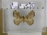  ( - EUPT-11-108)  @13 [ ] Unspecified (default): All Rights Reserved  Unspecified Unspecified