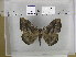  ( - EUPT-11-113)  @13 [ ] Unspecified (default): All Rights Reserved  Unspecified Unspecified