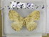  ( - EUPT-11-167)  @12 [ ] Unspecified (default): All Rights Reserved  Unspecified Unspecified