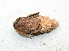  ( - VZ-LASIO-247)  @13 [ ] Unspecified (default): All Rights Reserved  Unspecified Unspecified
