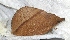  ( - VZ-LASIO-247)  @13 [ ] Unspecified (default): All Rights Reserved  Unspecified Unspecified