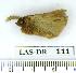  ( - LAS-DR 111)  @13 [ ] Unspecified (default): All Rights Reserved  Unspecified Unspecified