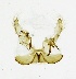  ( - LAS-DR 115)  @12 [ ] Unspecified (default): All Rights Reserved  Unspecified Unspecified