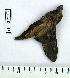  ( - LAS-DR 72)  @13 [ ] Unspecified (default): All Rights Reserved  Unspecified Unspecified