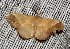  ( - VZ-EUPTER-38)  @13 [ ] Unspecified (default): All Rights Reserved  Unspecified Unspecified