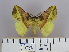  ( - 2011.66)  @14 [ ] Unspecified (default): All Rights Reserved  Unspecified Unspecified