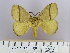  (Craspia poecilosticta - 06456-2010-41)  @14 [ ] Unspecified (default): All Rights Reserved  Unspecified Unspecified