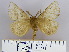  (Phyllalia - 2011.93)  @14 [ ] Unspecified (default): All Rights Reserved  Unspecified Unspecified