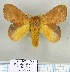  ( - LBEOW-37)  @14 [ ] Unspecified (default): All Rights Reserved  Unspecified Unspecified
