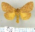  ( - LBEOW-44)  @14 [ ] Unspecified (default): All Rights Reserved  Unspecified Unspecified